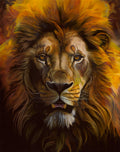 The Lion Of Judah